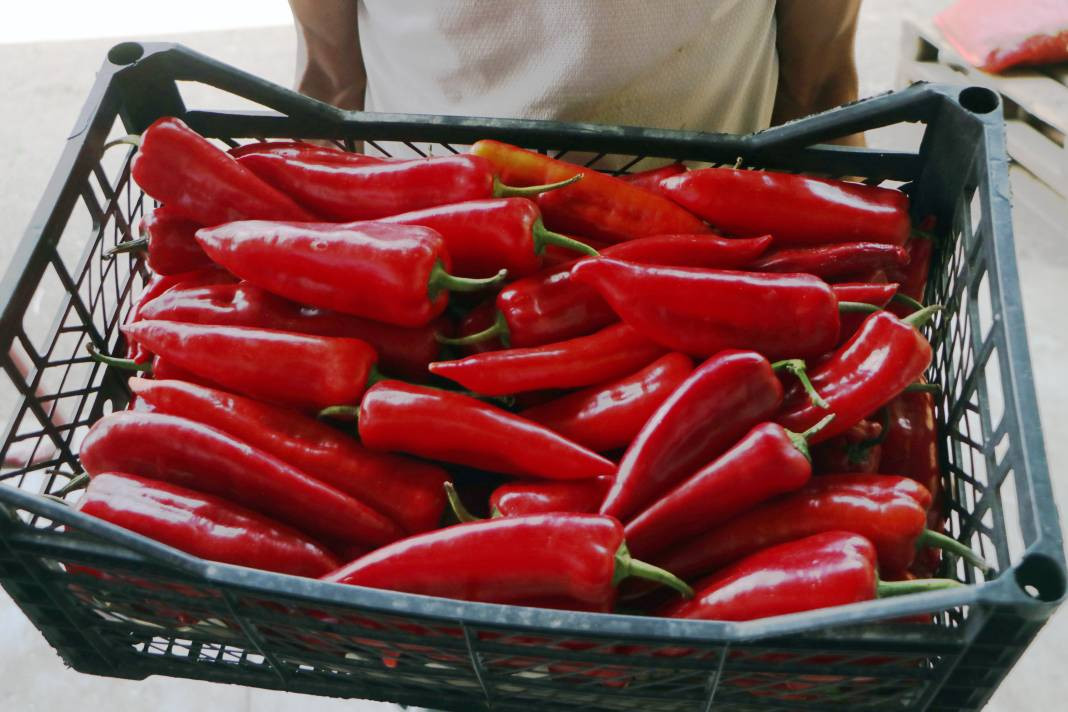 Market fiyatı tarlanın 5 katı! Kansere kalkan oluyor kalp krizini durduruyor - Resim: 19